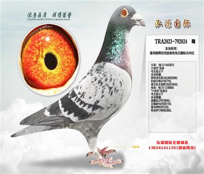 ̨����ֱ��������ۺ�45λ��С�Ͽ�����