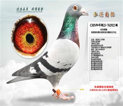 ̨������ۺ�31λ�����ض�����Ů