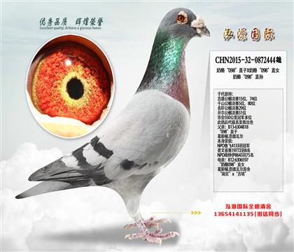 �������ۣ�����098ֱ��Ӵ����ﳬ������