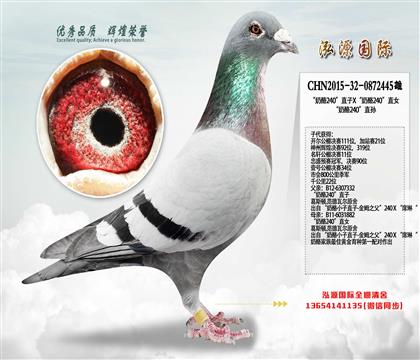 �������ۣ�����240ֱ��Ӵ���������λ