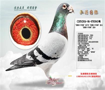 ������ۣ�����098ֱ��Ϸ��������ѡ