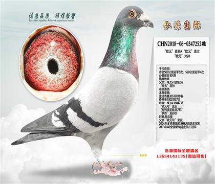 �������ۣ�����ŷԪ�������10����ھ�