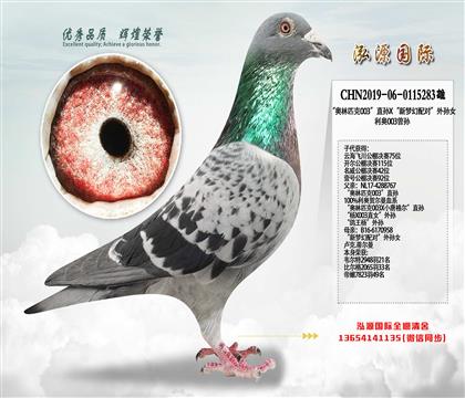 �ƽ��ۣ�����003�������������µĿ���