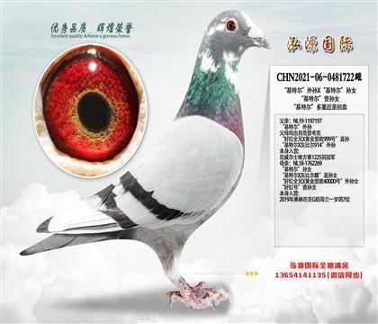 �����ض�������X�����ض�����Ů