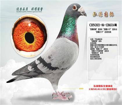 ��������ۣ�����098���׻�Ѫ���ǳ��ܳԿ�