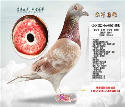 ���ú�š�ֱ��X���ú�š�ֱ��Ů���ǳ����ٶ�