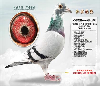 ���Ƽ�������ʱ��911��ֱ��Ů