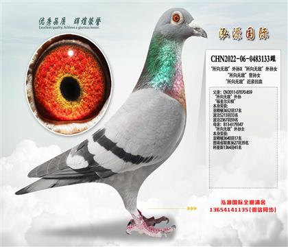 ���Ƽ����������޵С����׻�Ѫ�������ִ�