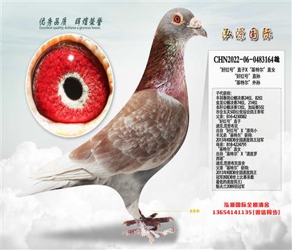 ���Ƽ������ú�š�ֱ��X�����ض���ֱŮ