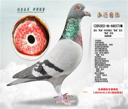 ���Ƽ������Կ���������ۣ���³�ϡ�����