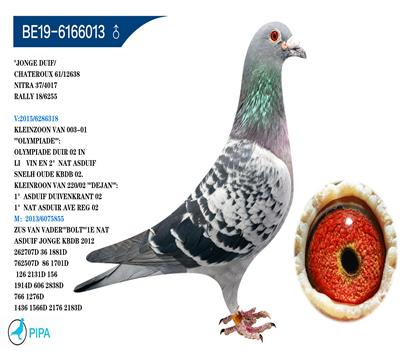 ������ƥ��������� �����ɼ�6255��18λ