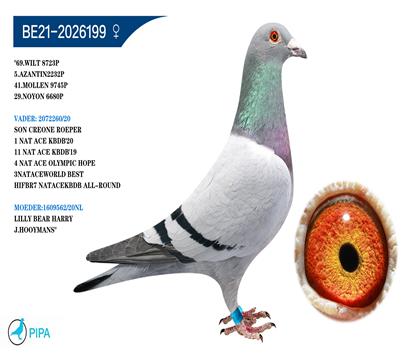 ������.�ֲ��� �����ٻ�2232��5λ