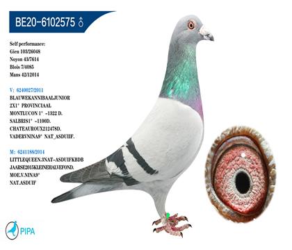 �Ͽ�.������ԭ�� �����ɼ�7614��43λ