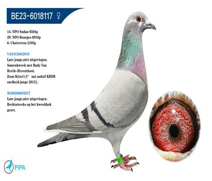 �Ͽ�.���ǲ���ԭ�� �����ٻ�8504��14λ