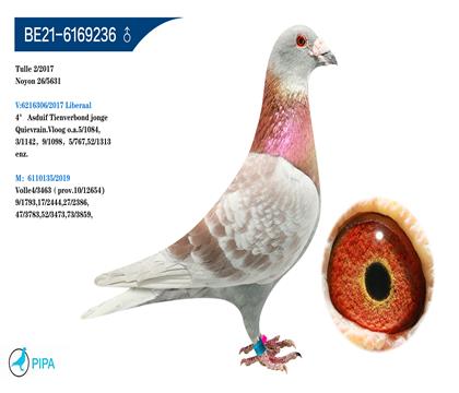 �Ͽ�.���ǲ���ԭ�ᡰ���ض��������