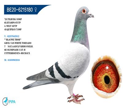 ������-������ԭ�� �����ɼ�1677��4λ