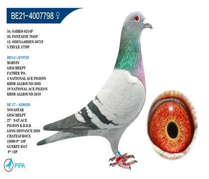 ���׵�.��ϣ�ֵ� �ٰ��� �����ٻ�1779��5��