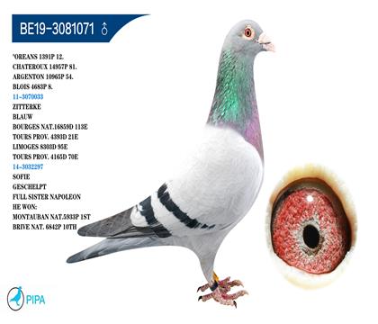 �Ǳ�.�����Ǳ�ԭ�� �����ɼ�4683��8λ