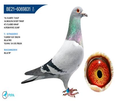 ������ԭ�ᡱ�����������X������ֱ��Ů�� 2128�� 8λ