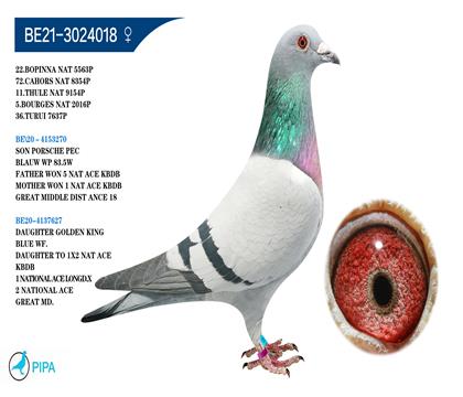 ��ŵ.����� �����ɼ� 5563��22λ