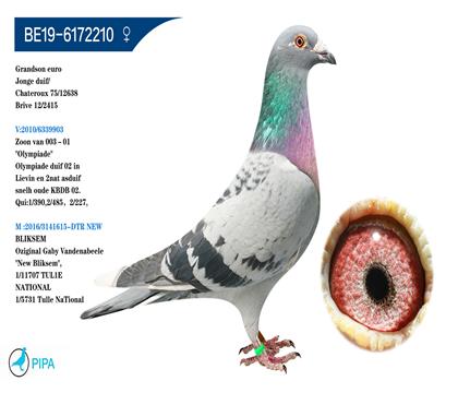 ����.�ն���˹ԭ�ᡰ����ƥ��003�����