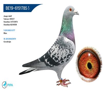 ����-�ն���˹ԭ�ᡰ����