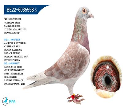 ñ��Ϸ����Ѫ �����ɼ�5335��17λ