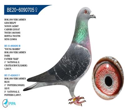 ��˹.����ԭ�� ��Ұ��������� �����ɼ�8054��21λ