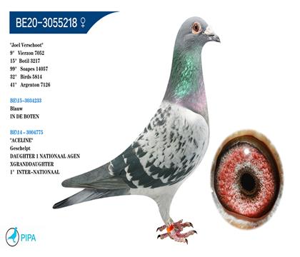 ��˹-��˹���� �����ɼ�7052��9λ