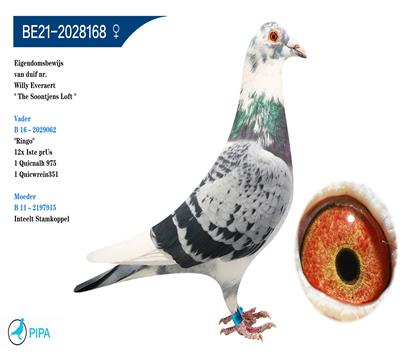 ����.��������ԭ�ᡰ�ָ�X�����������Ů��