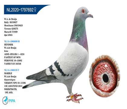 ����.�ϲ���ԭ�� ����������6273��42λ