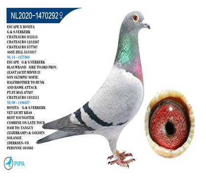 �ֿ˸���ԭ�� �����ٻ����·12515�𼾾�