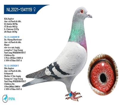 ��.����������Ů �����޺š����� �����ٻ�8021��37λ