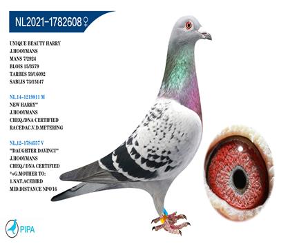 ��.����˹ԭ�� �����ɼ�2924��7λ