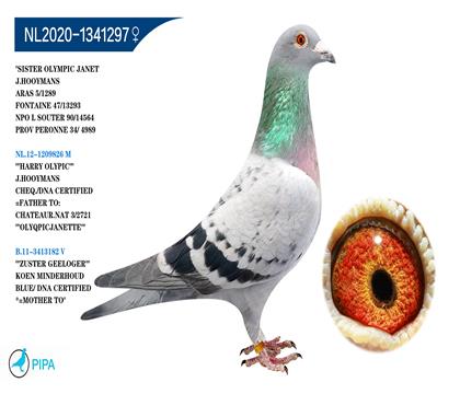 �����˹X�¶�.���º� �����ɼ�13293��47λ