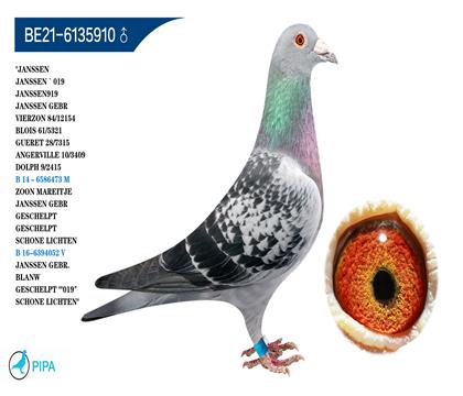 ղɭ�����к�019��Ѫ �����ɼ�3409��10λ