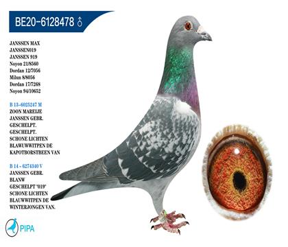 ղɭ���˹��Ѫ �����ɼ�8560��21λ