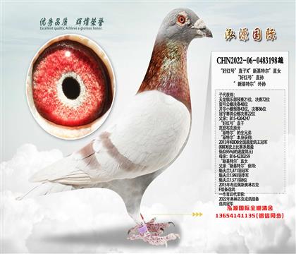 ���Ƽ������ú�š�ֱ����Ե��ٶȣ�������������