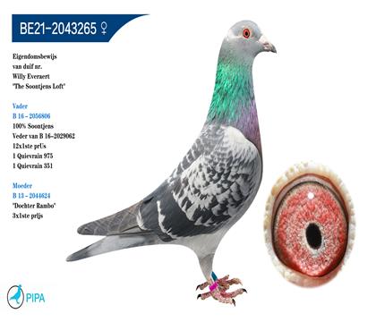 ����һ��ʿѪϵ���С� �����ɼ�7937��15λ