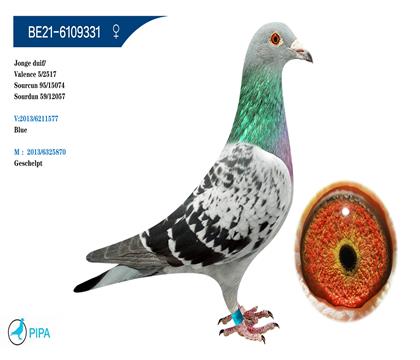 ������003��X���ֱŮ �����ɼ�2517��5λ