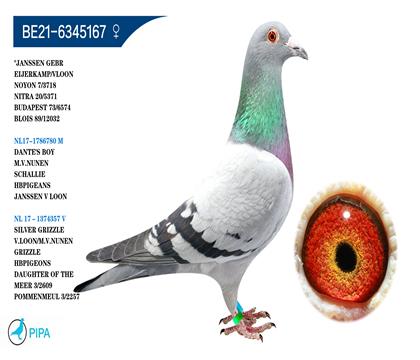 ���ǿ��ա���Ӱ�����׻�Ѫ �����ɼ�3718��7λ