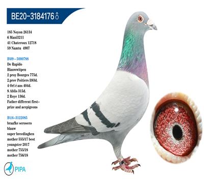 ������.��˹ԭ�ᡰ�������������