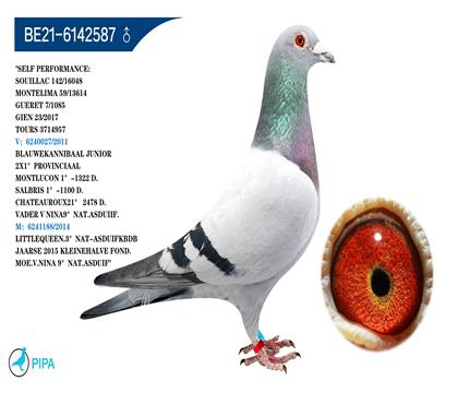 �Ͽ�.������ԭ�ᡰ���������޵С�X��СŮ���š�ֱŮ