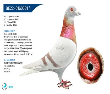 �Ͽ�.���ǲ���ԭ�� �����ɼ�1962��5λ