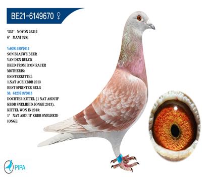 �Ͽ�.���ǲ���ԭ�ᡰ���ض���ֱŮX���ú�š�ֱ���Ѫ