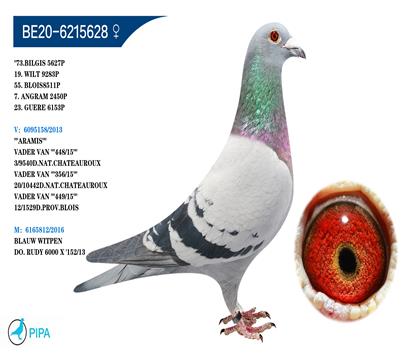 ������-������ԭ�� �����ٻ�2450��7λ