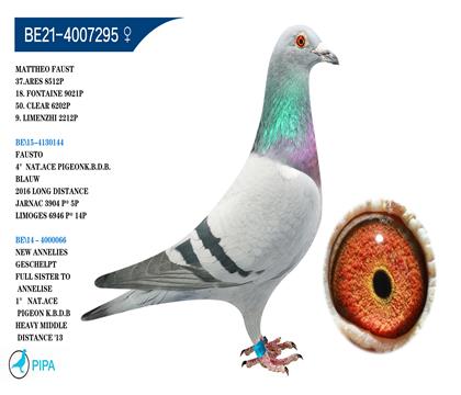 ���׵�.��ϣ�ֵ�ԭ�� �����ٻ�9021��18��