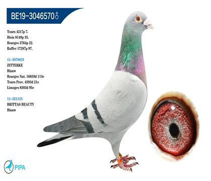 �Ǳ�.�����Ǳ�ԭ�ᡰ�������ۣ��������룩ֱϵ��