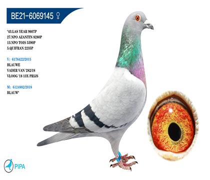 ������ԭ�ᡱ�����������X������ֱ��Ů�� 2235��5λ