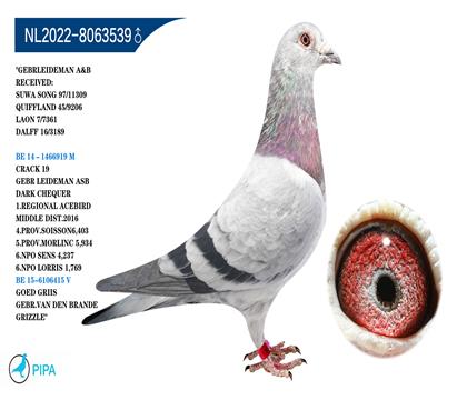 �׵����ֵ� �û�Ѫϵ �����ɼ�7361��7λ